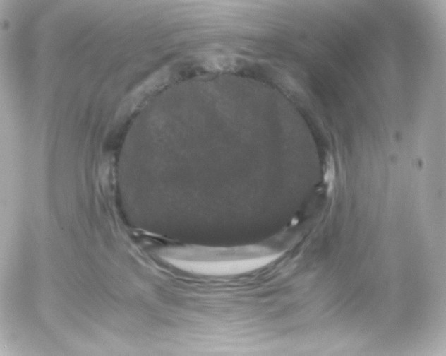 X0000052650233200507221849