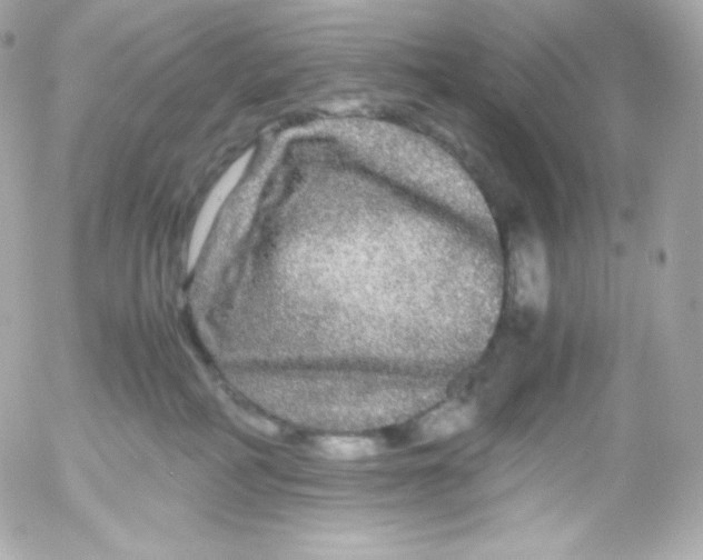 X0000052650234200507221849