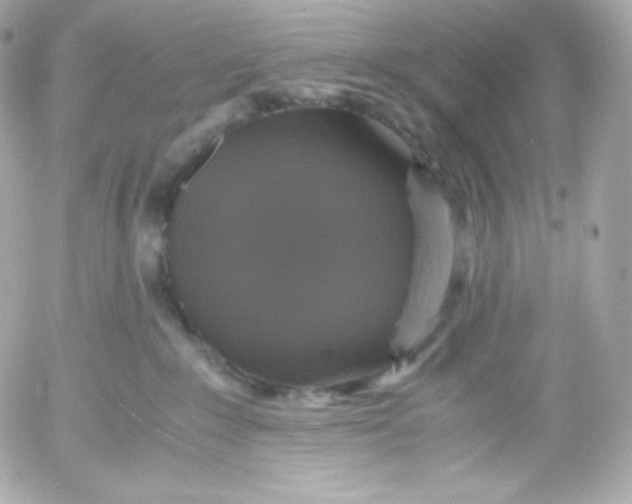 X0000052650235200507221849