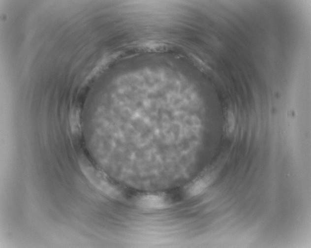 X0000052650236200507221849