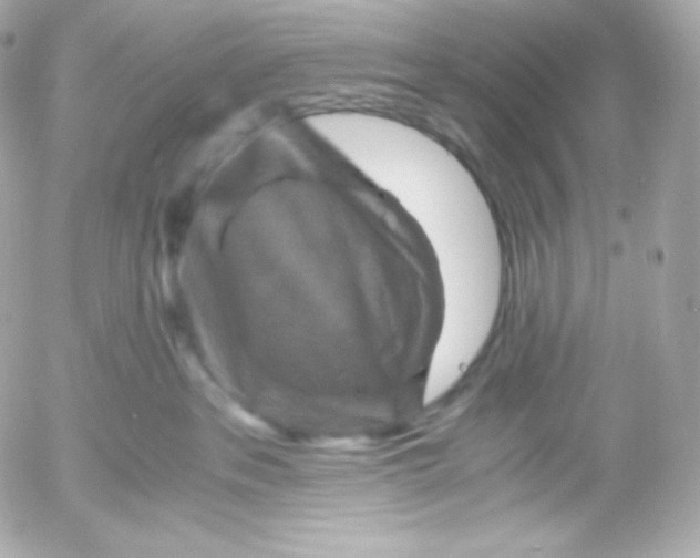 X0000052650237200507221849