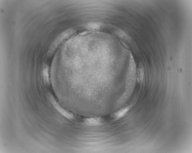 X0000052650238200507221849