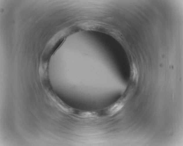 X0000052650239200507221849