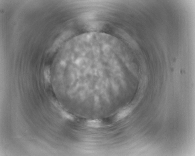 X0000052650240200507221849