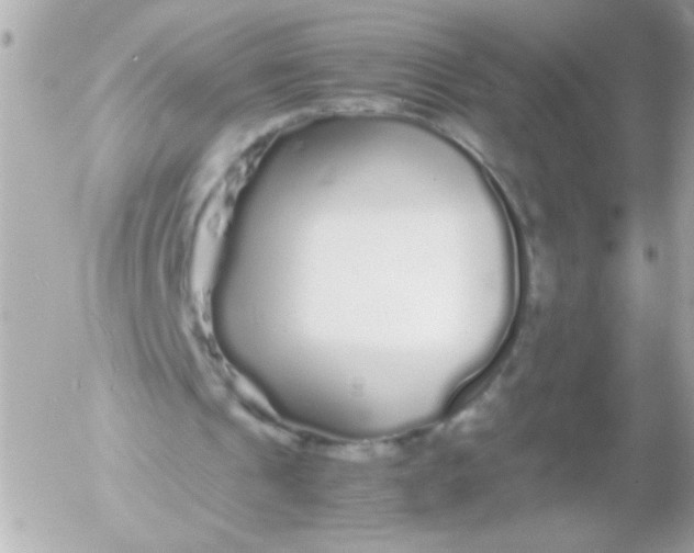 X0000052650241200507221848