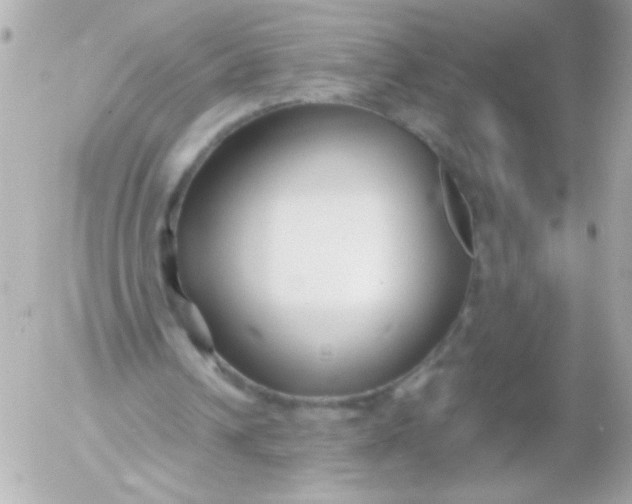 X0000052650242200507221848