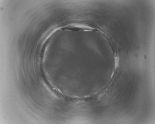 X0000052650243200507221848