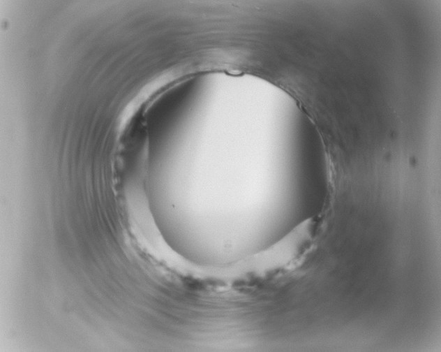 X0000052650244200507221848