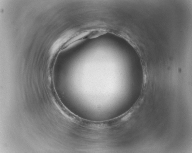 X0000052650245200507221848