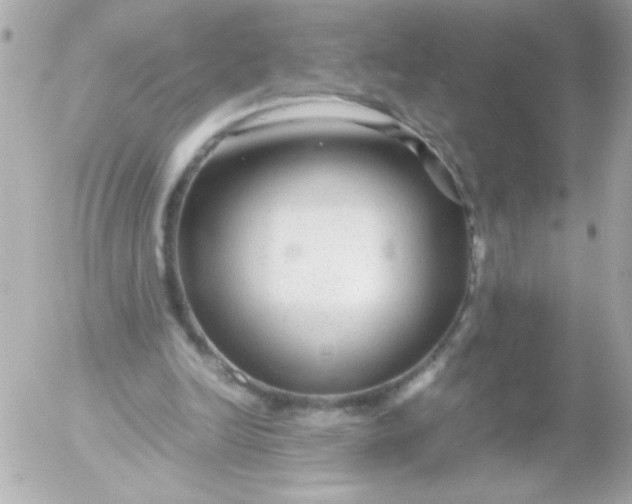 X0000052650246200507221849