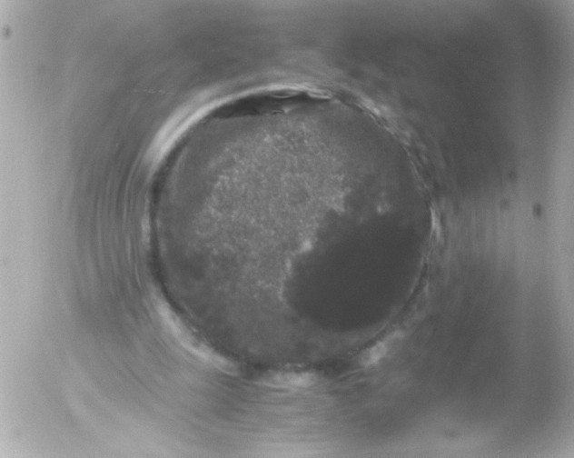 X0000052650247200507221849