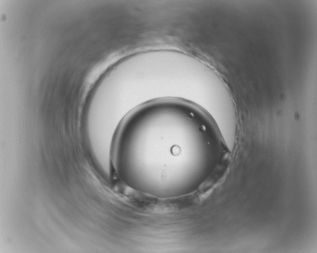 X0000052650248200507221849