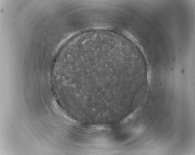 X0000052650249200507221849