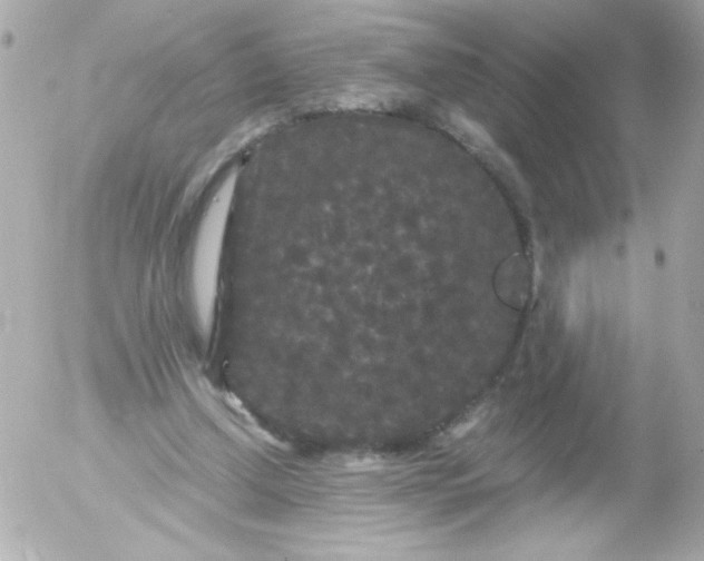 X0000052650250200507221849