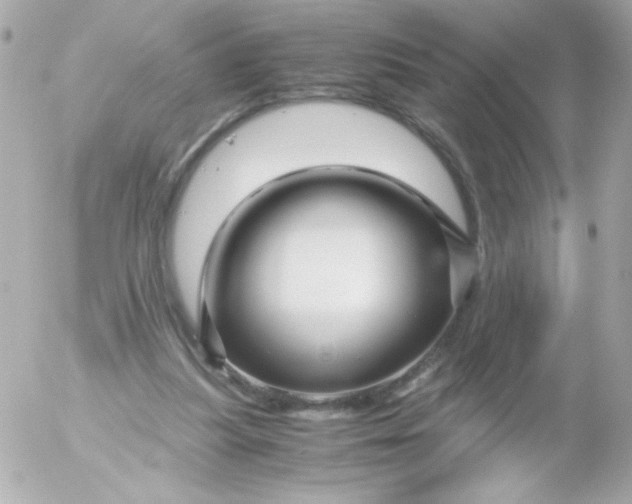 X0000052650251200507221849