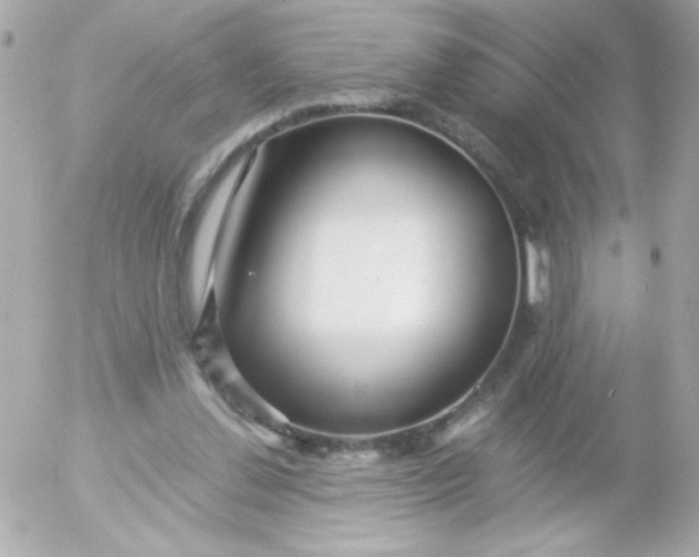 X0000052650252200507221849