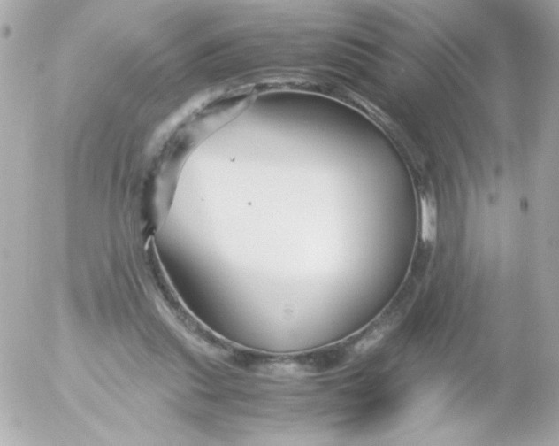 X0000052650253200507221849