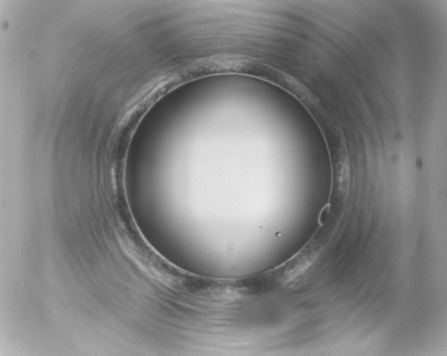 X0000052650254200507221849