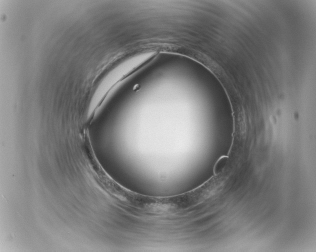 X0000052650255200507221849