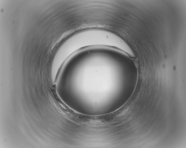 X0000052650256200507221849