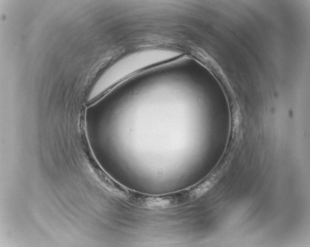 X0000052650257200507221849