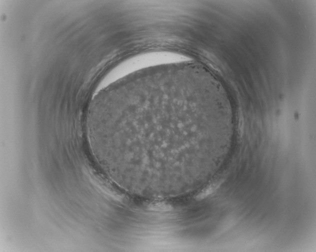 X0000052650258200507221849