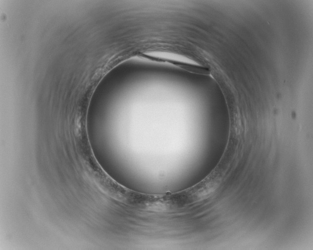 X0000052650259200507221849