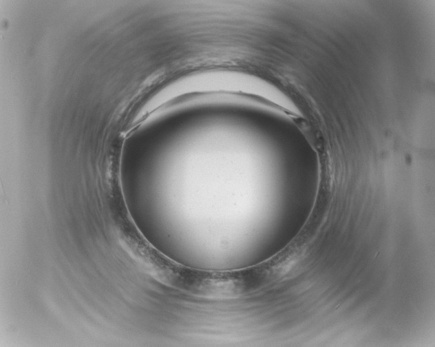 X0000052650260200507221849