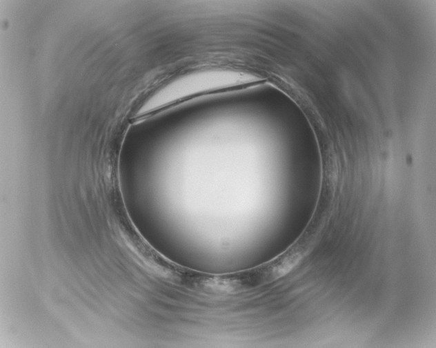 X0000052650261200507221849