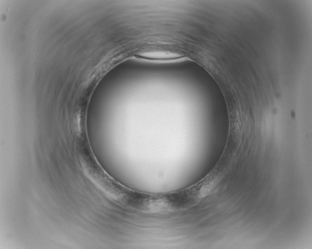 X0000052650262200507221849