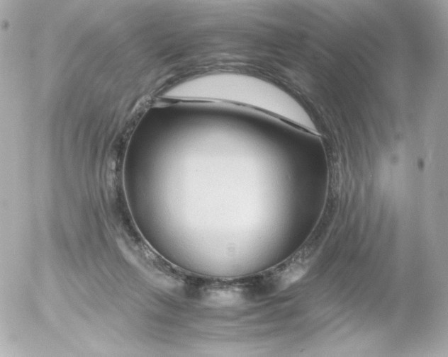 X0000052650263200507221849