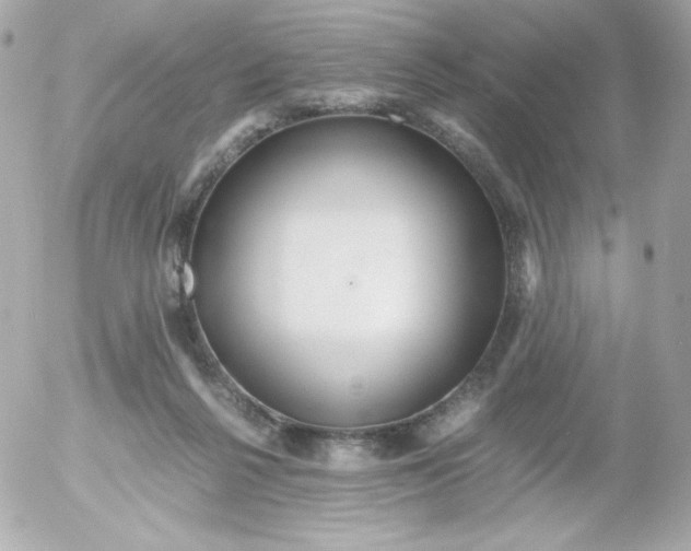 X0000052650264200507221849