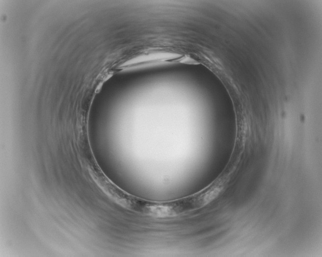 X0000052650265200507221849