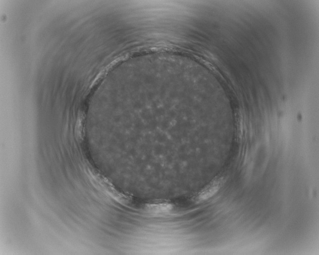 X0000052650266200507221849