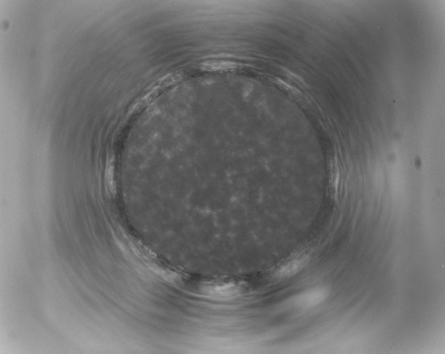 X0000052650267200507221849