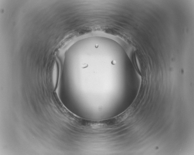 X0000052650268200507221849