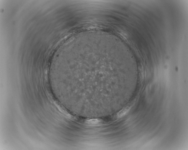 X0000052650269200507221849