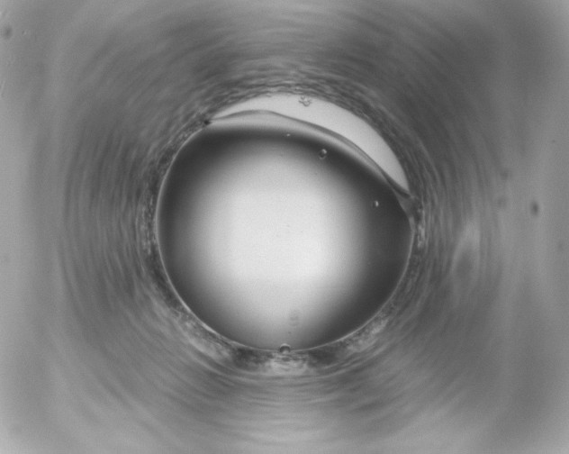 X0000052650270200507221849