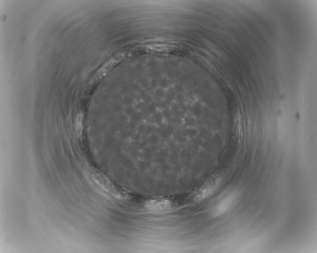 X0000052650271200507221849