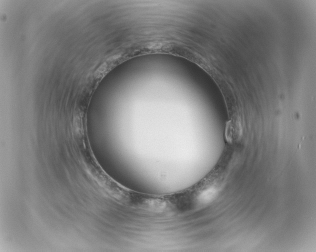 X0000052650272200507221849