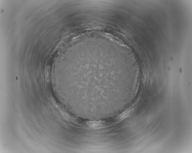 X0000052650273200507221849