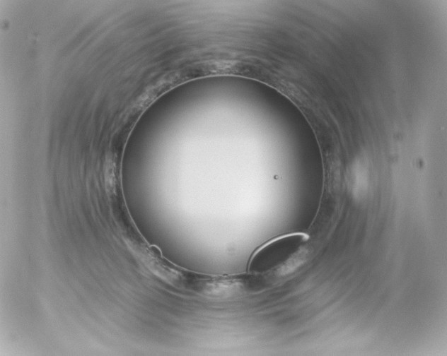 X0000052650274200507221849