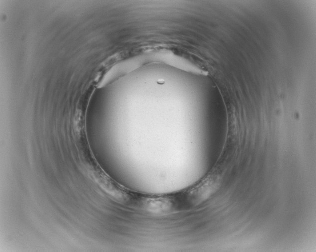 X0000052650275200507221849