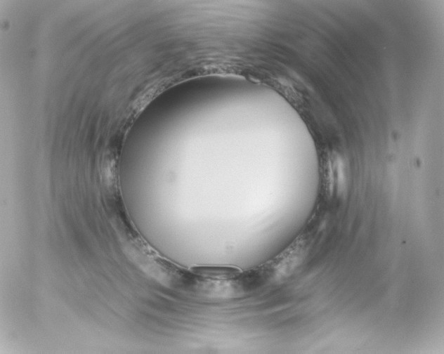 X0000052650276200507221849