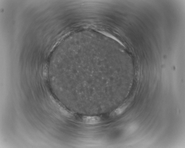 X0000052650277200507221849