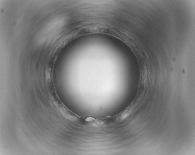 X0000052650278200507221849