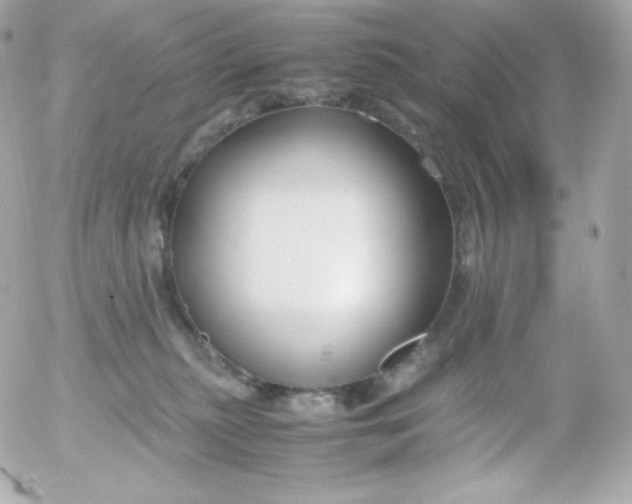 X0000052650279200507221849