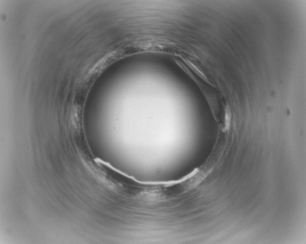 X0000052650280200507221849