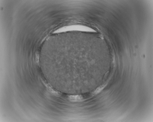 X0000052650281200507221849