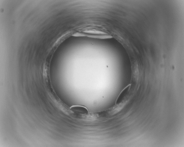 X0000052650282200507221849